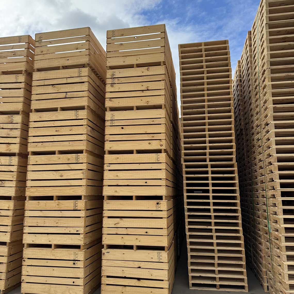 Tall stacks of new timber bins and pallets in a yard under a blue sky