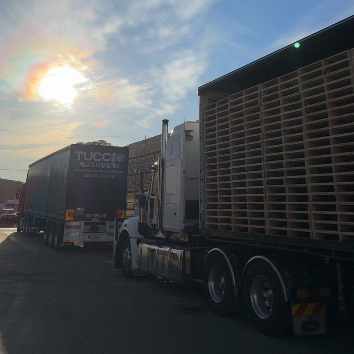 Semi-trailer stacked high with timber pallets beside a curtain-sider, sun low in the sky